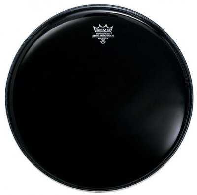 Remo Pelle Ambassador Ebony 16 Nera