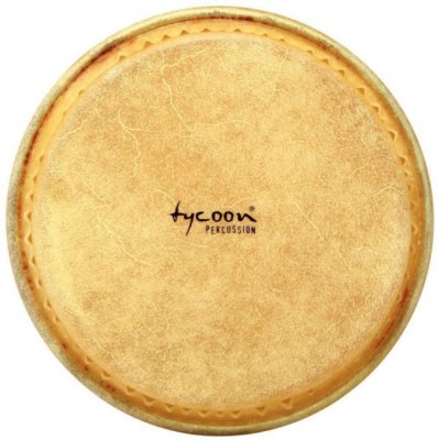 Gewa Pelle Bongo 7