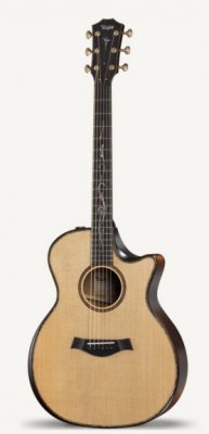 Taylor K14Ce Builder'S Edition