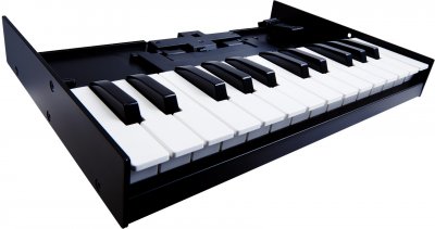Roland K25M Tastiera Dinamica A 25 Tasti