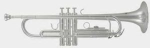 Roy Benson Tr402Cs Tromba In Do Silver