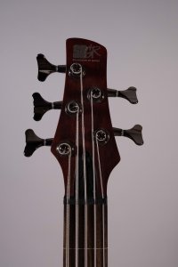 ibanez sdgr 5c usato freetless usato