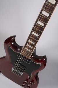 HOYER SG USATA