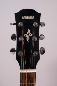 YAMAHA APX 600M USATA