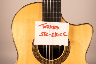 Jose Torres Jtc-210CE  Classical Electric Guitar Cutaway
