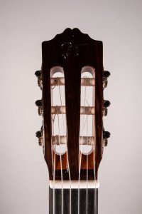 Jose Torres Jtc-210CE  Classical Electric Guitar Cutaway