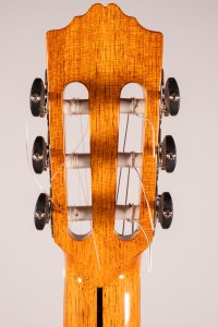 Jose Torres Jtc-210CE  Classical Electric Guitar Cutaway