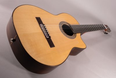 Jose Torres Jtc-210CE  Classical Electric Guitar Cutaway