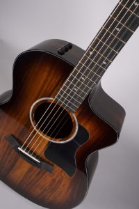 TAYLOR 224CE-K  USATA