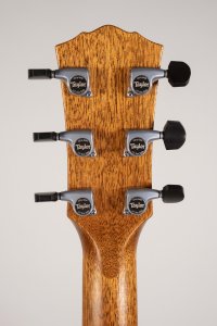 Taylor 814E Sunburst Gold Label