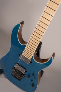 IBANEZ RG 5120 USATA