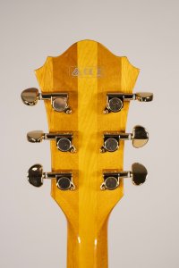 Ibanez Pm2 Natural USATA