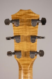TAYLOR 618E USATA