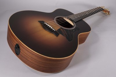 TAYLOR GS MINI E-RW LTD USATA
