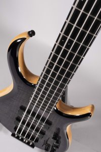SIRE M7 SWAMP ASH USATO