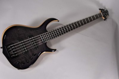 SIRE M7 SWAMP ASH USATO
