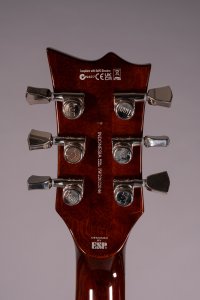 Ltd Ec1000 Amber Sunburst