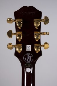 epiphone Les Paul Jerry Cantrell Usata