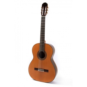 Raimundo 129 Cocobolo Cedar 