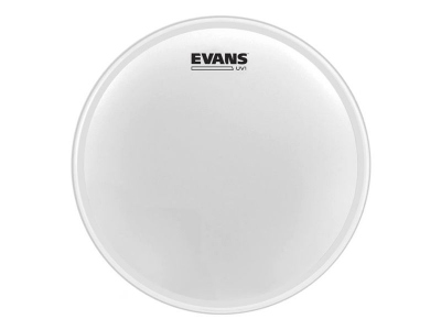 Evans B10Uv1 Pelle Coated 10'