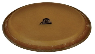 Lp A640B Pelle Conga 11