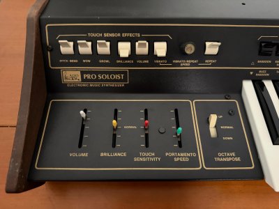 Arp Pro Soloist Usato con Custodia