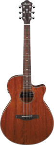 Ibanez Aeg220 Natural Low Gloss