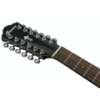 Ibanez AEG5012BKH