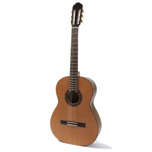 Raimundo 120E Cedar