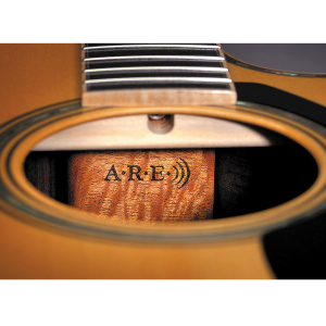 Yamaha Ll16 ARE  Chitarra Folk Con Astuccio
