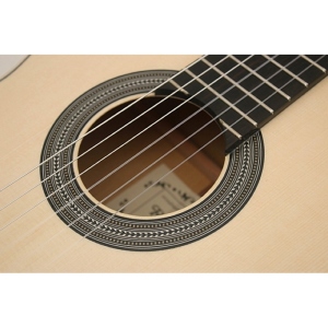 Raimundo 133 Spruce 