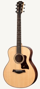 Taylor Gt Urban Ash Spruce