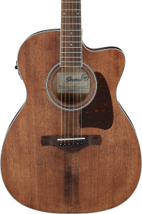 Ibanez AC340CEOPN Natural Open Pore
