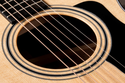 Taylor 312Ce Chitarra Acustica