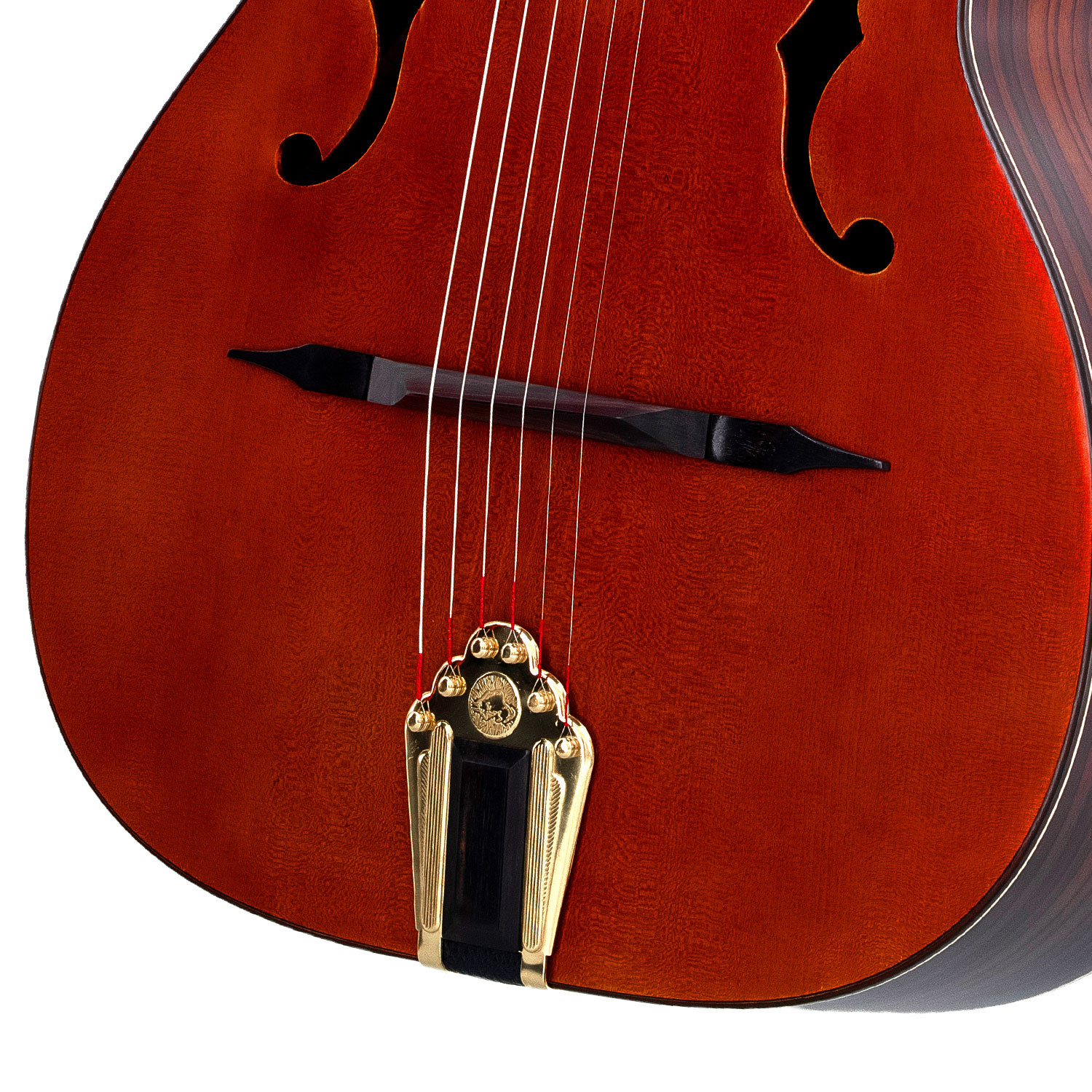 Altamira Gypsy Jazz a 6 Corde Buche a F
