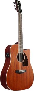 Ibanez PF16MWCE Open Pore Natural