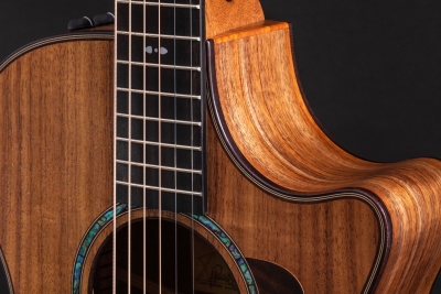 Taylor 722CE Chitarra Acustica Elettrificata