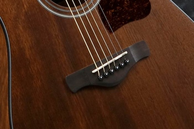 Ibanez AW5412CE Open Pore Natural