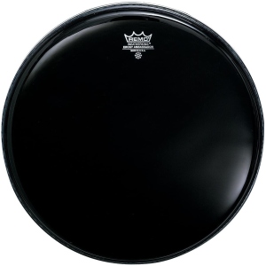 Remo Pelle Ambassador Nera 13'