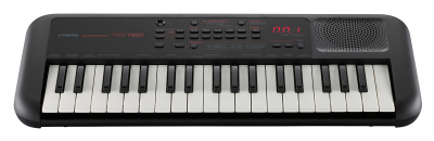 Yamaha Pss A50 Tastiera Arranger Entry Level Con Usb
