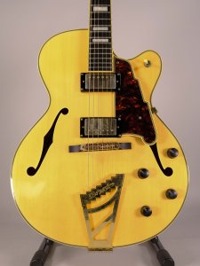 D'ANGELICO EX-DH HOLLOW EXCEL USATA