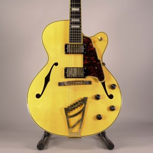D'ANGELICO EX-DH HOLLOW EXCEL USATA