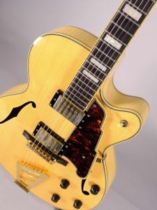 D'ANGELICO EX-DH HOLLOW EXCEL USATA