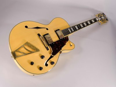 D'ANGELICO EX-DH HOLLOW EXCEL USATA