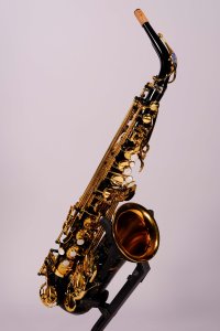 Selmer Supreme SE-ASUB Sax Alto Usato