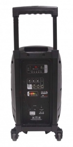 Italian Stage By Proel Fr10Aw Sistema Audio 10' Portatile Bluetooth Usb
