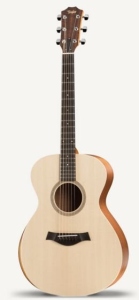 Taylor Academy 12