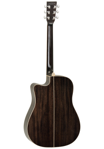 Tanglewood Serie Winterleaf Tw5e Black Shadows Gloss