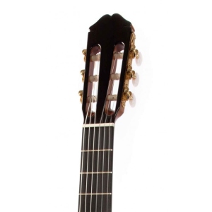 Raimundo 129 Cocobolo Cedar 