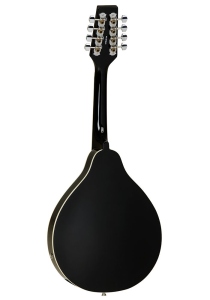 Tanglewood Mandolino Twm T Elettrificato Black Lucido